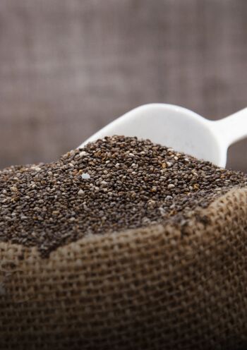 Animal Feed & Nutrition